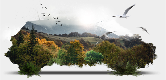 The Courtesy Car Evolution